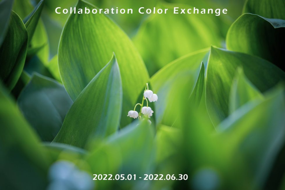 Tono&lims Collaboration Color Exchange